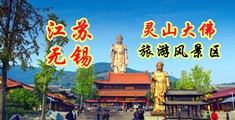 爱爱视频123网站江苏无锡灵山大佛旅游风景区