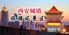 强奸白丝校花污文中国陕西-西安城墙旅游风景区