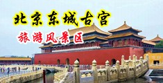 大鸡巴操大逼逼视频普通话对白中国北京-东城古宫旅游风景区